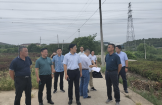 镇江市丹徒区政府副区长胡灼烁、上党镇五塘村村民委员会书记陈永飞、江苏华电句容分公司项目办陈志荣主任、江苏hjc888黄金城新能源集团公司总司理郑海青一行考察万亩茶园光伏项目